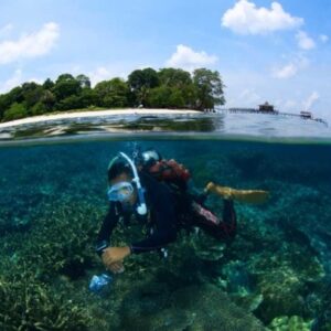Semporna Day Trip Scuba Diving (International)