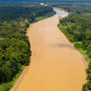Kinabatangan River 3D2N