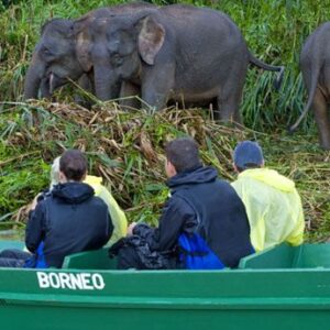 Kinabatangan River 2D1N