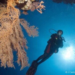 Semporna Day Trip Scuba Diving