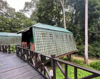 Tabin Wildlife Safari 4