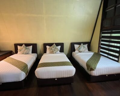 Tabin Wildlife Safari 6